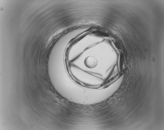 X0000057080920200510071841