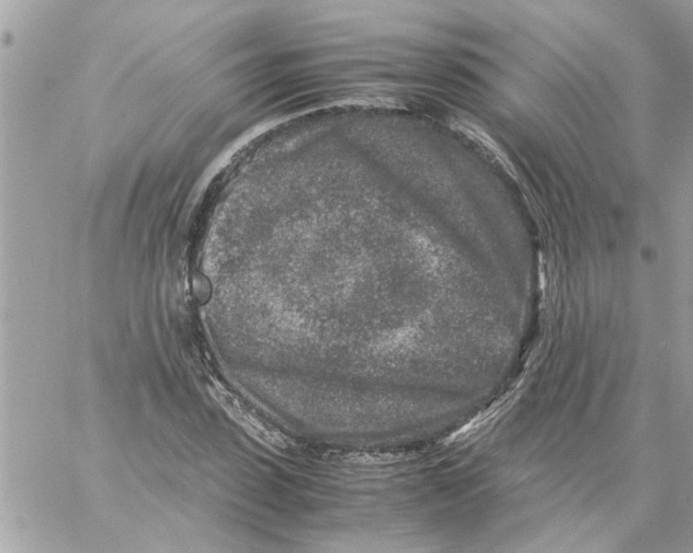 X0000057080923200510071841