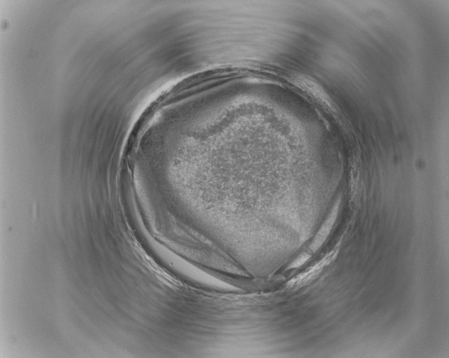 X0000057080924200510071841