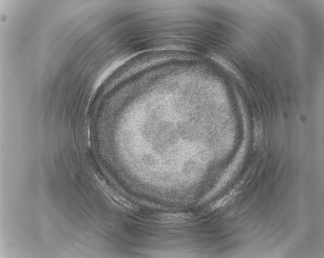 X0000057080925200510071841