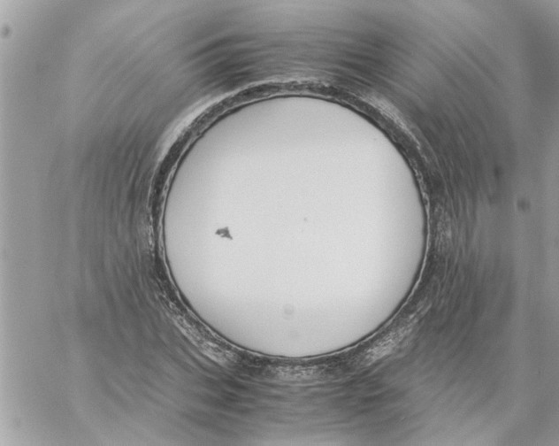 X0000057080927200510071841