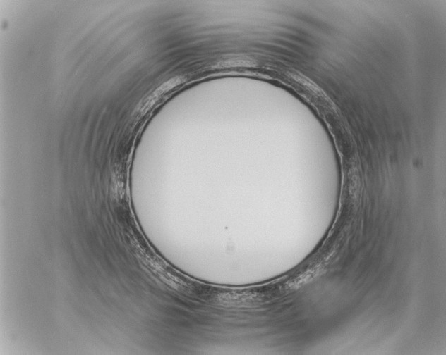 X0000057080929200510071841