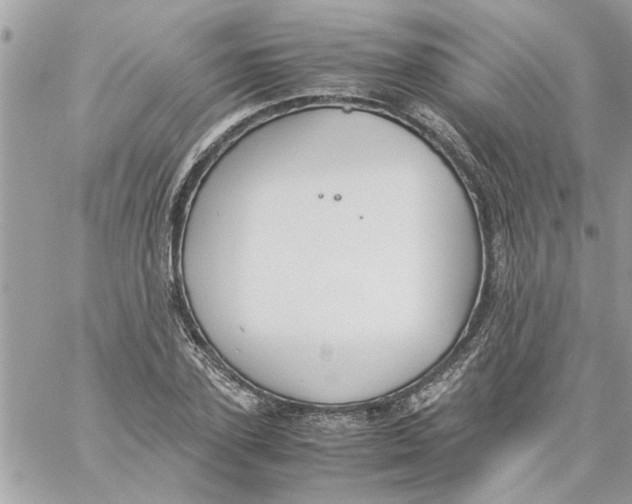 X0000057080931200510071841