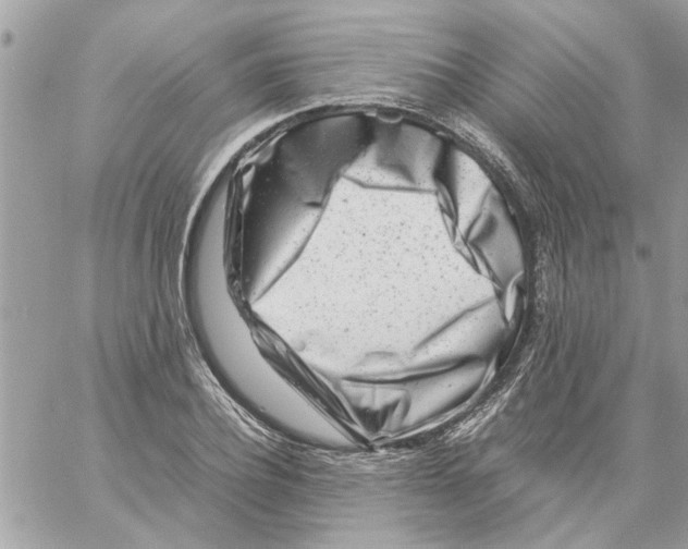 X0000057080932200510071841