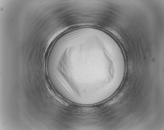 X0000057080933200510071841