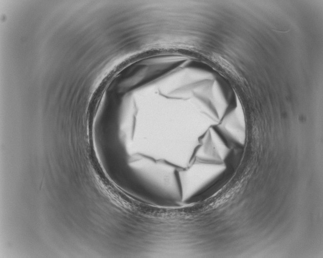 X0000057080934200510071841