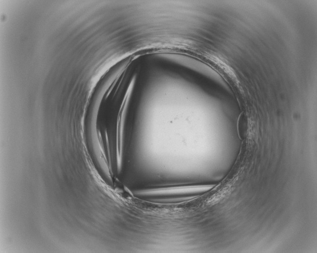 X0000057080936200510071841