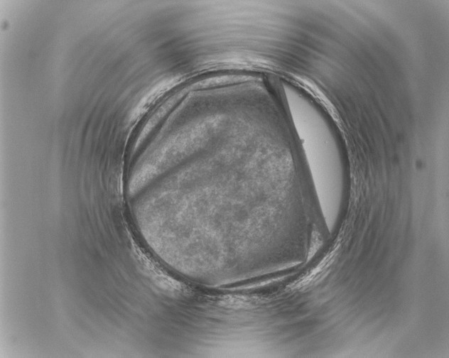 X0000057080938200510071841