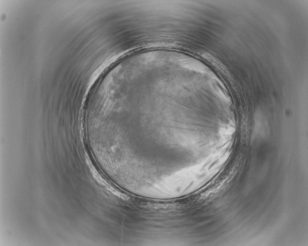 X0000057080941200510071841