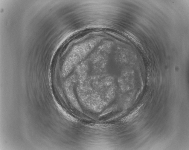 X0000057080942200510071841