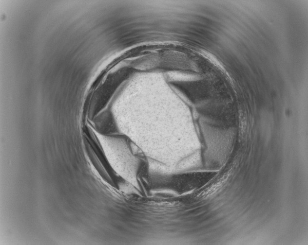 X0000057080943200510071841