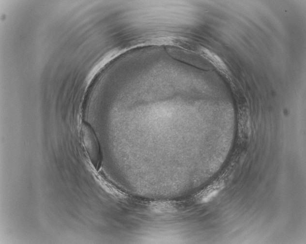 X0000057080944200510071841