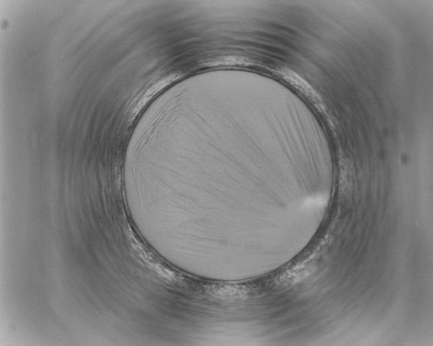 X0000057080945200510071841