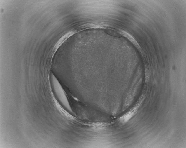 X0000057080946200510071842