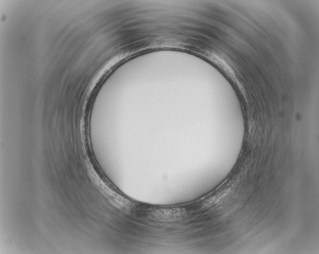 X0000057080947200510071842