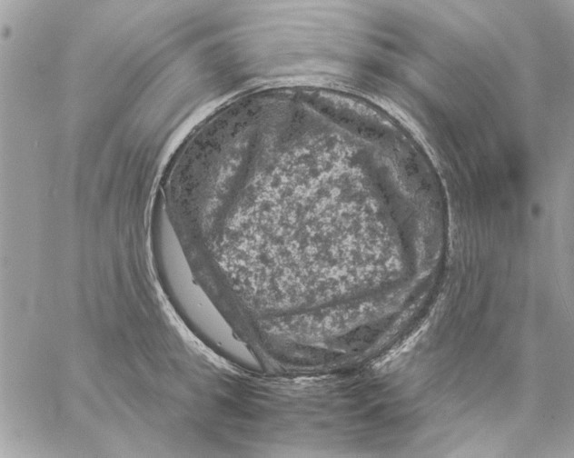 X0000057080949200510071842