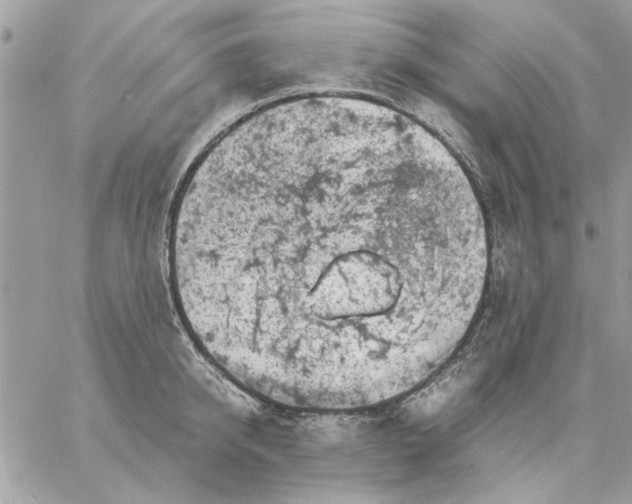 X0000057080950200510071842