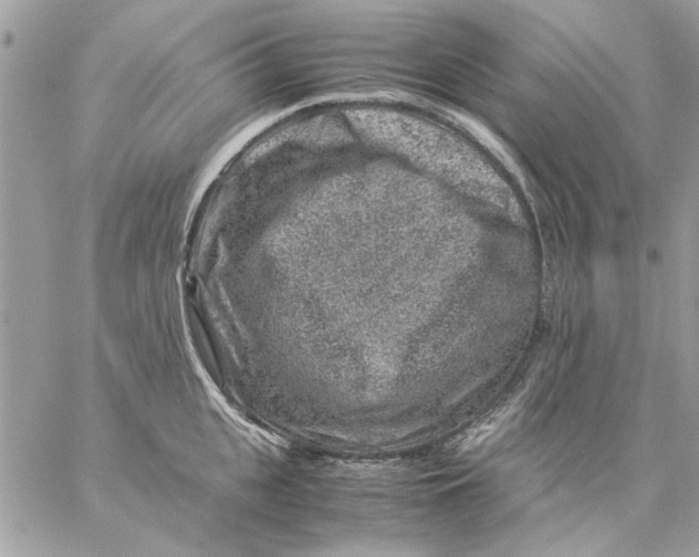 X0000057080951200510071842