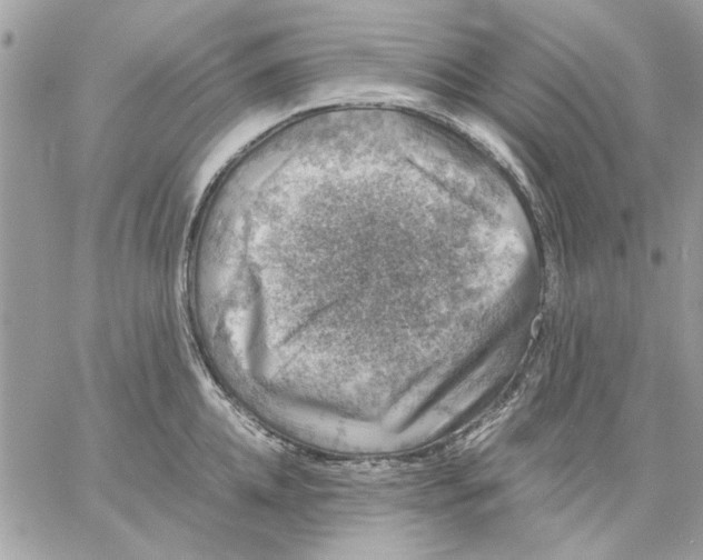 X0000057080952200510071842