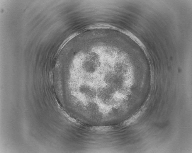 X0000057080953200510071842