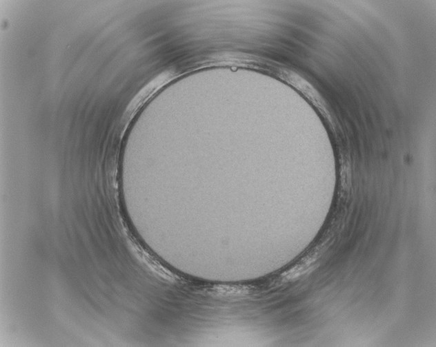 X0000057080954200510071842