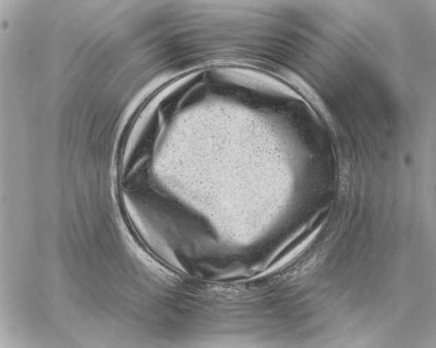 X0000057080955200510071842