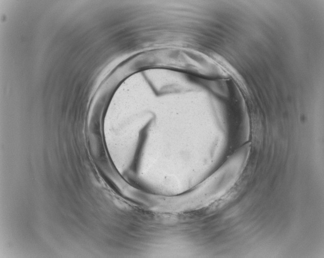 X0000057080956200510071842