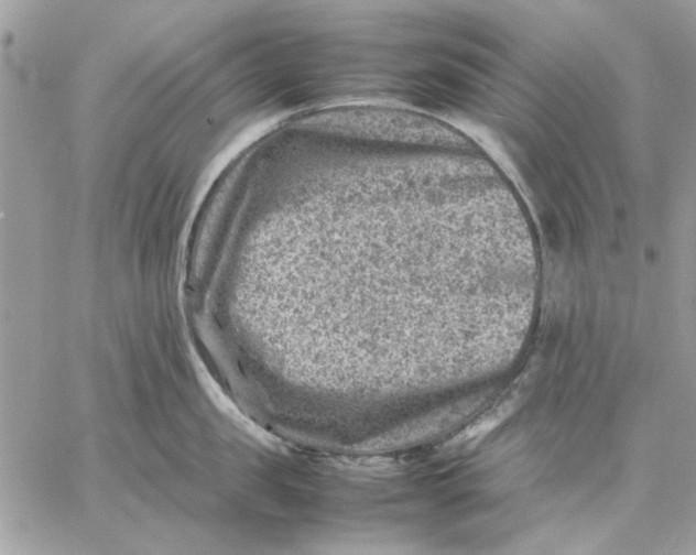 X0000057080957200510071842