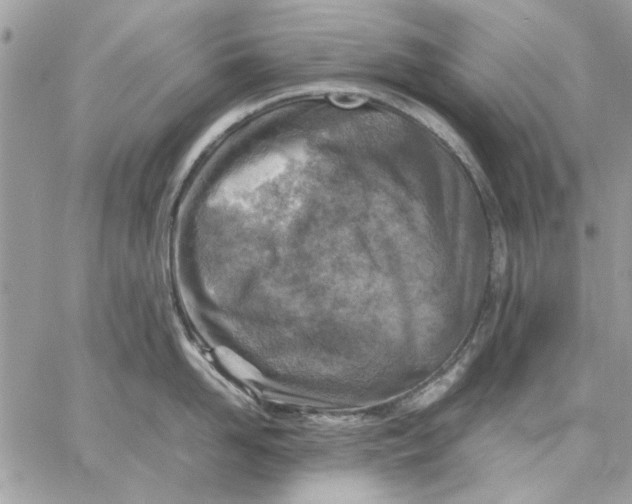 X0000057080958200510071842