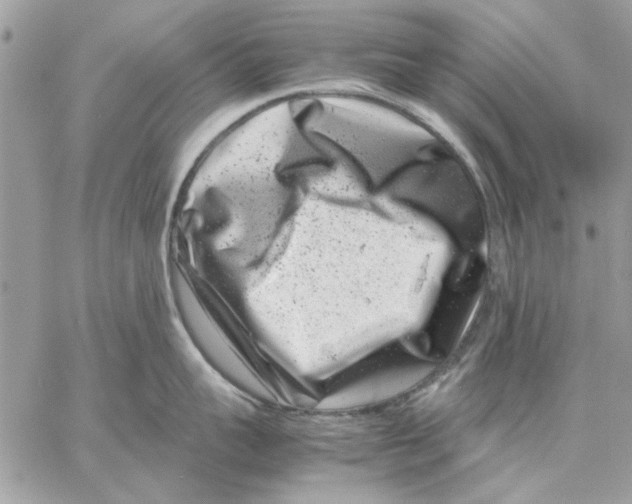 X0000057080959200510071842