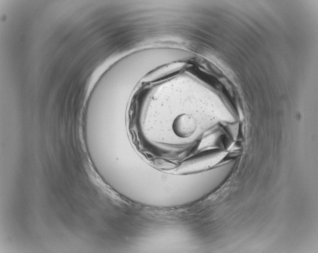 X0000057080960200510071842