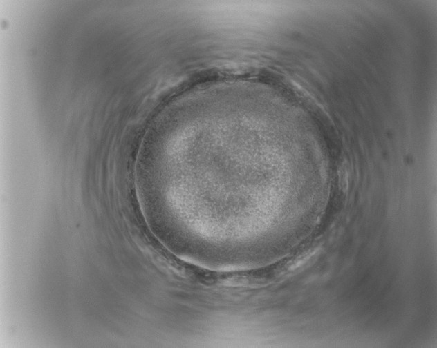 X0000057080961200510071841