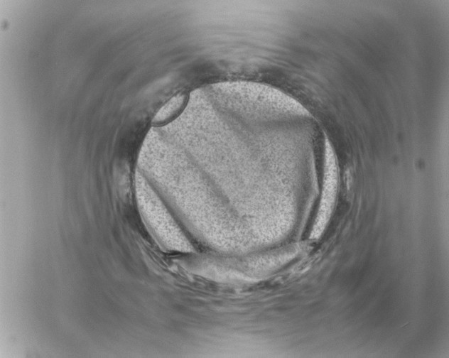 X0000057080963200510071841