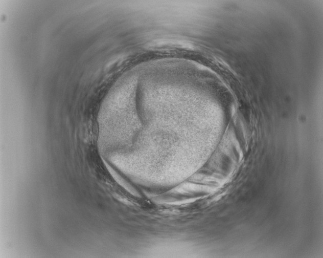 X0000057080965200510071841