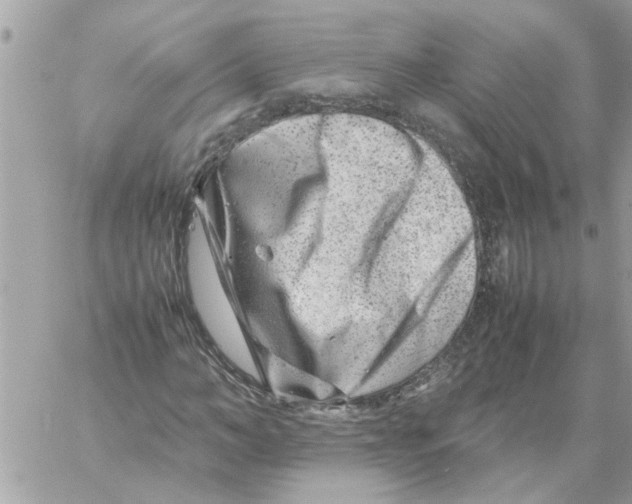 X0000057080966200510071841