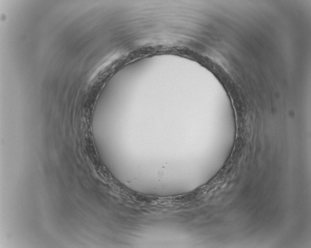 X0000057080967200510071841