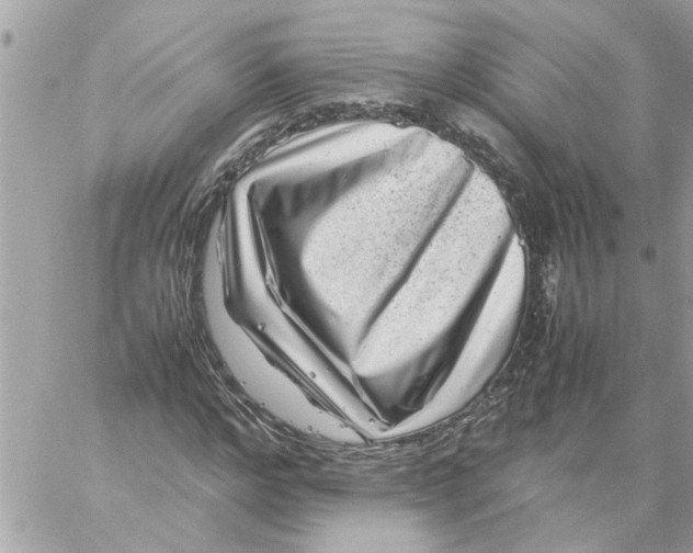 X0000057080968200510071841