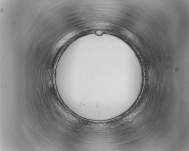 X0000057080970200510071841