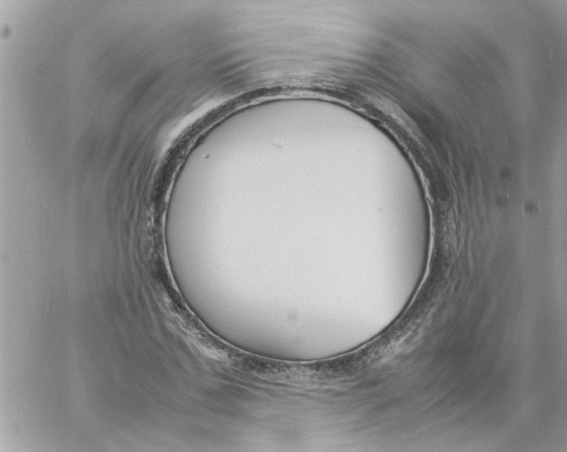 X0000057080971200510071841