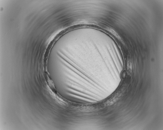 X0000057080972200510071841