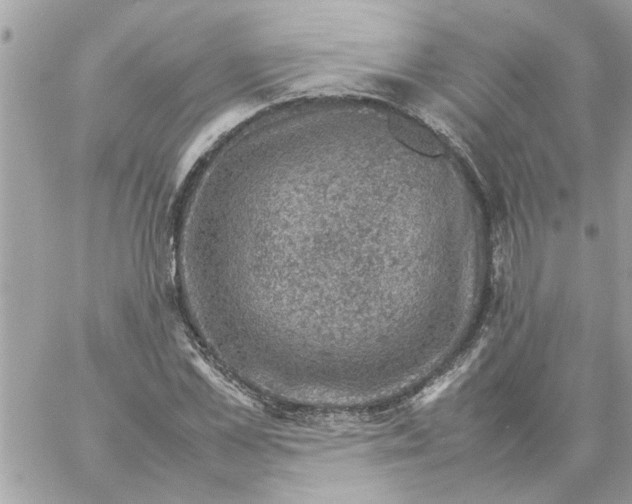 X0000057080973200510071841