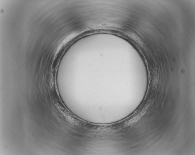 X0000057080974200510071841