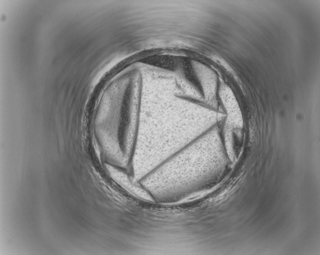 X0000057080975200510071841