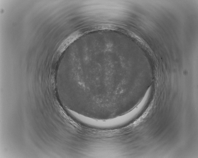 X0000057080977200510071841