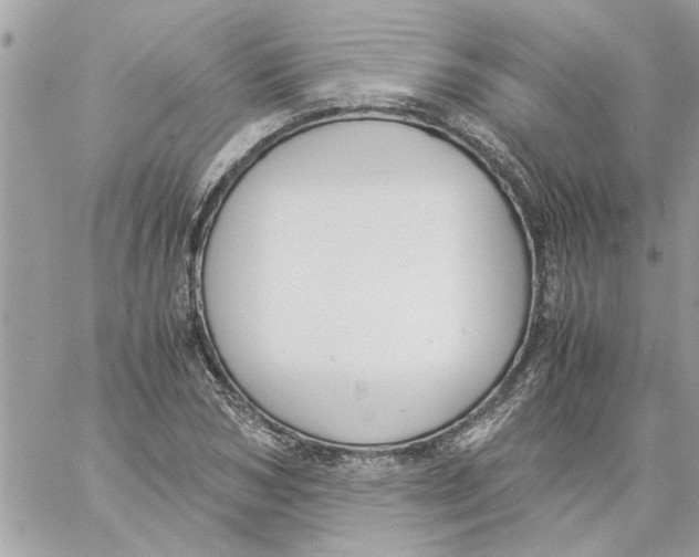 X0000057080978200510071841