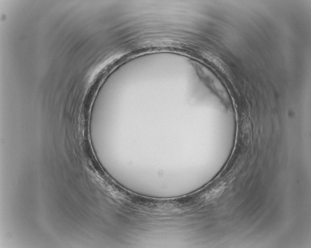 X0000057080979200510071841