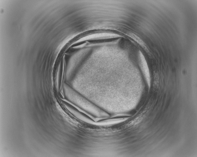 X0000057080980200510071841