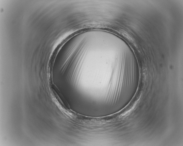 X0000057080981200510071841