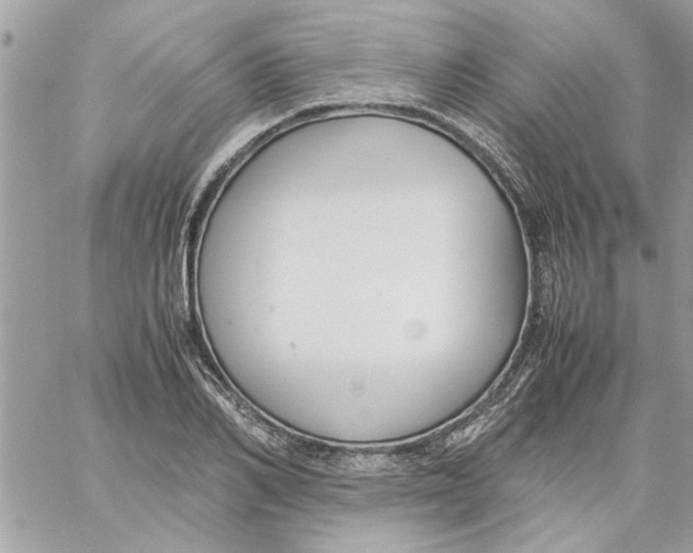 X0000057080982200510071841