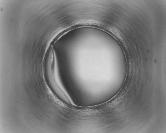 X0000057080984200510071841